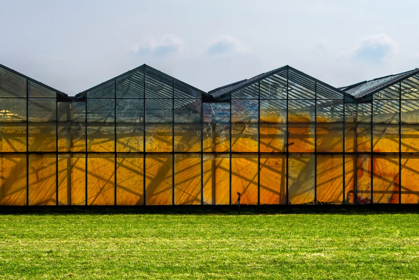 FK servis Automatic ventilation for greenhouses